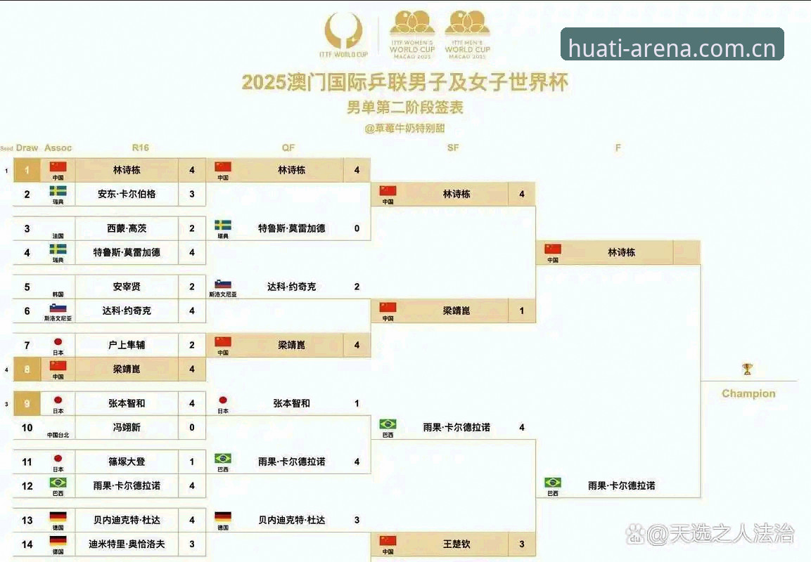 世界杯观赛危机下的旅行签证困境详解